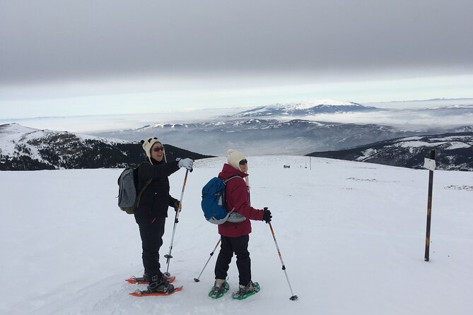 Full-day Vitosha Mountain Snowshoe Hiking Tour from Sofia - My booking checklist: should you book this one
