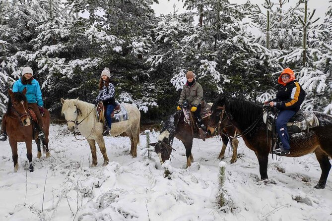 Half day adventure - Nevsky, Vitosha Hoof, Boyana and Horse Ride - Price and value: what you get for $240.76