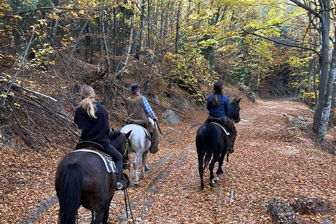 Half day adventure - Nevsky, Vitosha Hoof, Boyana and Horse Ride - Guide quality: when the day clicks, it is usually the guide
