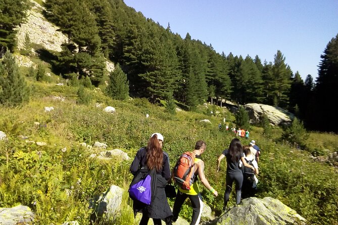 Half-Day Hiking with Private Mountain Guide in the Seven Rila Lakes - Rila Mountains scenery and how your guide helps you read it