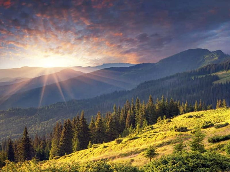 Half Day Tour - Sofia and the mountains with Thermal Spa - Vitosha Nature Park: A Quick Reset Before the Climb
