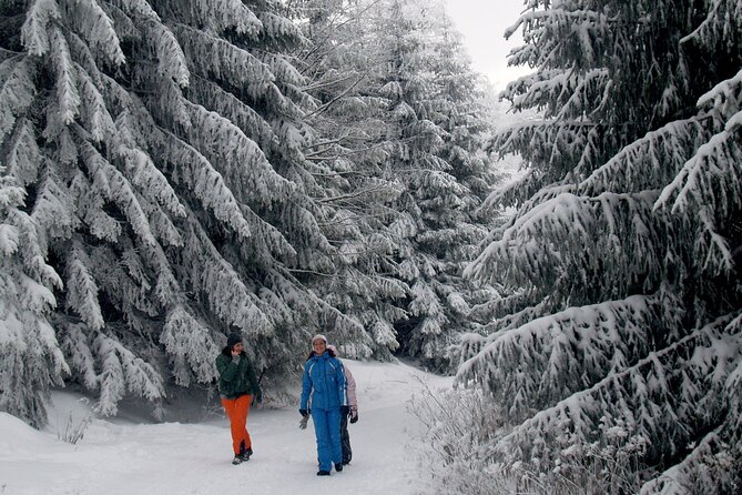 Hike in The Central Balkan National Park - Price and value: $40.49 per person, and what you get for it