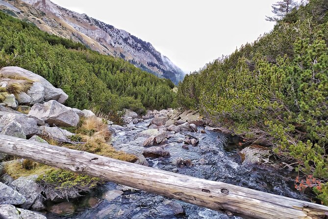Hiking in Pirin- the UNESCO World Heritage Natural Park with a visit of Bansko - Pickup, Drop-off, and the Smooth Parts of the Day