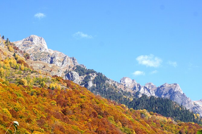 Incredible Day tour from Sofia to 7 Rila lakes and Rila monastery - Geyser Stop: Bulgaria’s Only Natural Geyser at 103 C