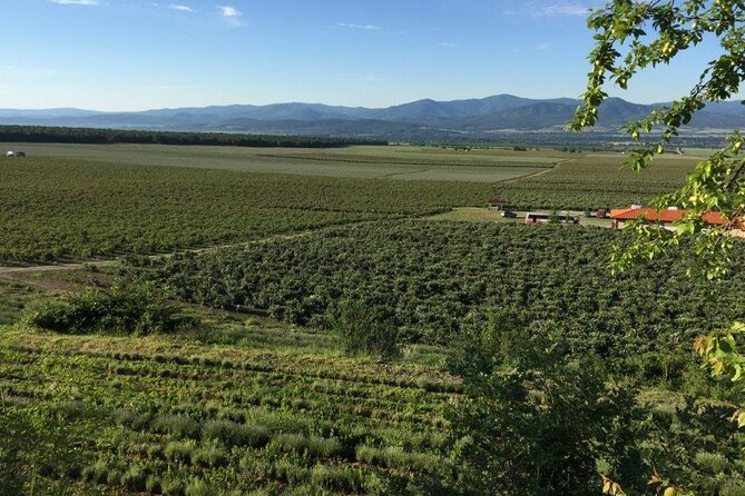 Kazanlak Full-Day Tour from Sofia - Rose oil meets Thrace, with UNESCO as the anchor