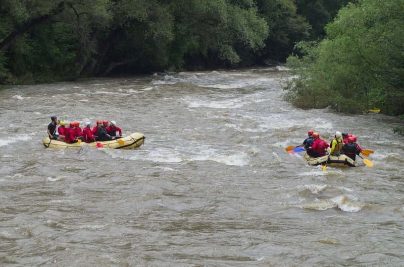 Lakatnik: Rafting on Iskar River - Rapids in the Iskar gorge, plus birdlife moments when you slow your head