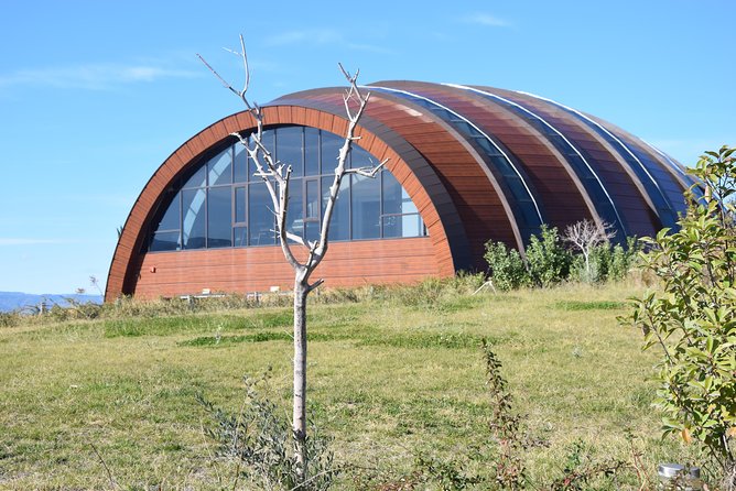 Melnik Wine Tasting tour from Sofia - Price and value: what $180.27 buys you on this long day