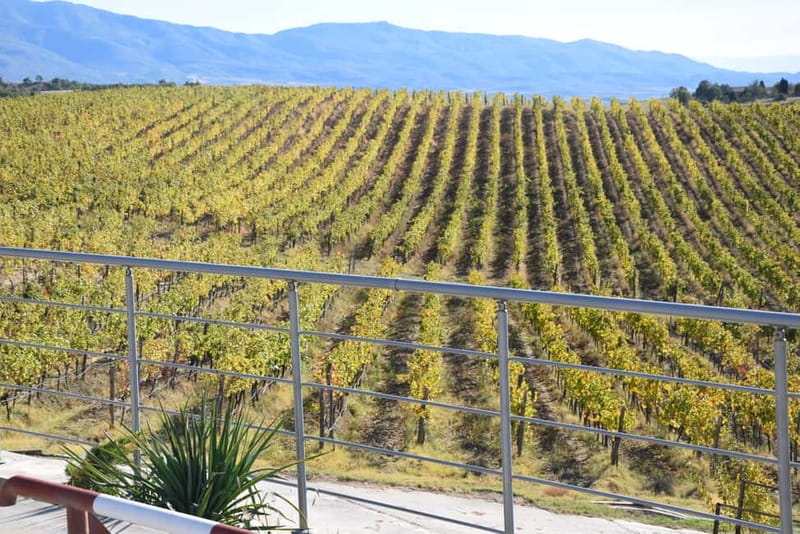 Melnik Wine Tour - Key things to know before you go
