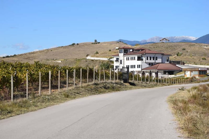 Melnik Wine Tour - Melnik town, sandstone streets, and a wine museum visit