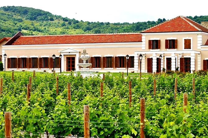 Midalidare Estate Wine Tasting & Activities - Key highlights from Midalidare Estate Wine Tasting