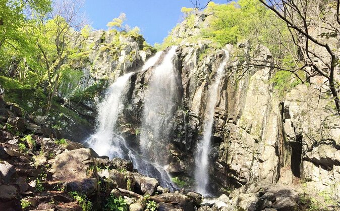 Mt. Vitosha and Boyana Waterfall Hiking Tour from Sofia - Why Mt. Vitosha plus Boyana Waterfall works from Sofia