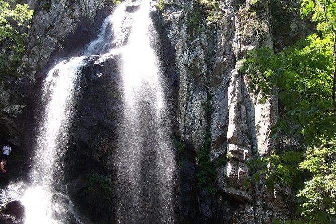 Mt. Vitosha and Boyana Waterfall Hiking Tour from Sofia - Boyana Waterfall: why the final hour is worth planning for