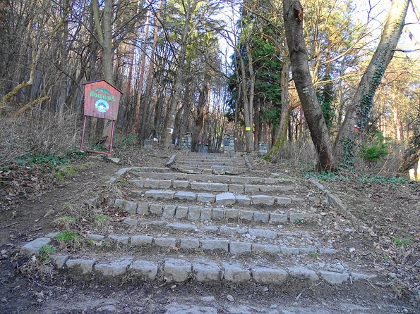 Mt. Vitosha and Boyana Waterfall Hiking Tour from Sofia - Weather and timing: what can change your day