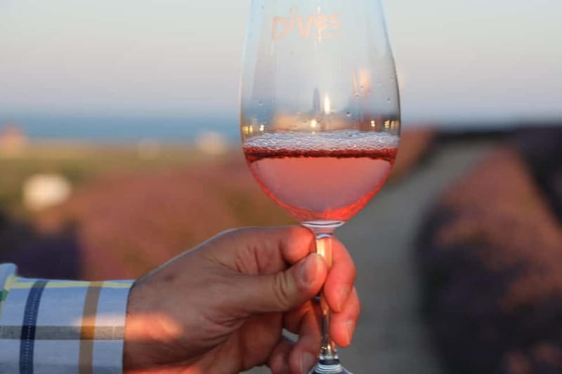 Nessebar: Guided Tour in English with Wine Tasting - Pickup and the Bus Ride: How to Plan Your Timing