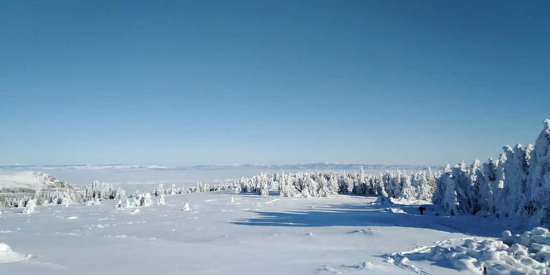 One-Day Hiking with Snowshoes on Vitosha - From Golden Bridges to Sofia’s winter playground