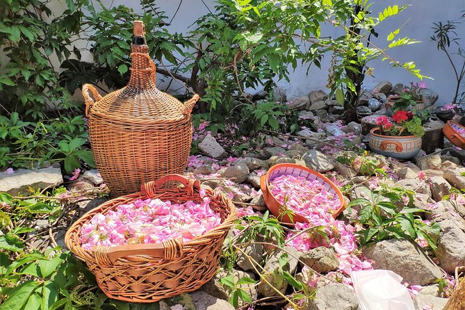 Picking Roses Workshop & Extracting Rose Oil in the Rose Valley - Karlovo and the Old Town feel: more than a stop on the way
