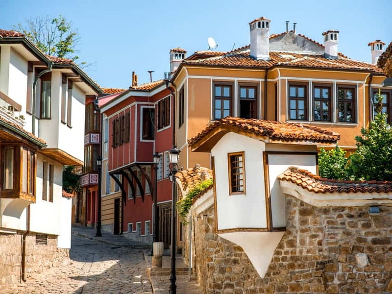Plovdiv and Bachkovo: Private Full-Day Tour from Sofia - Private guide, hotel pickup, and how the day feels in motion