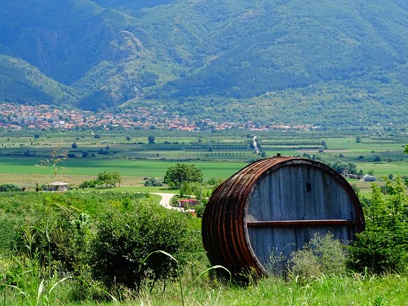 Plovdiv and Thracia Valley with Wine Tasting - Pace, timing, and what a 10-hour day feels like