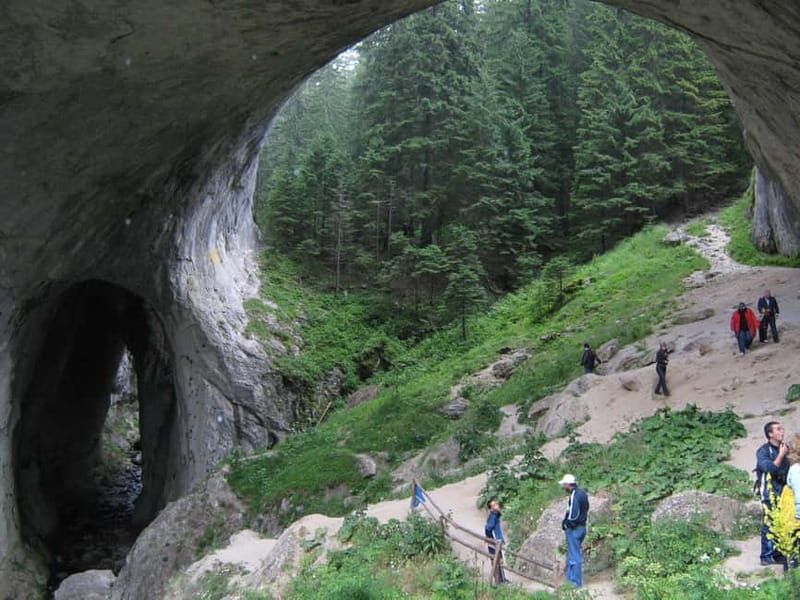 Plovdiv: Bachkovo Monastery, Asen Fortress, & Bridges Tour - Lunch in the Conifer Forest Before the Wonderful Bridges