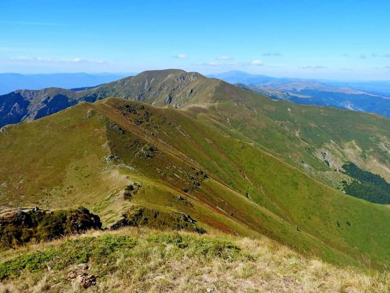Plovdiv: Central Balkan National Park Guided Hike - Key things I think you’ll care about most