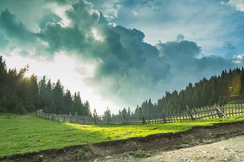 Plovdiv: Central Balkan National Park Guided Hike - Starting in Plovdiv at 08:00, then Up Toward Sopot