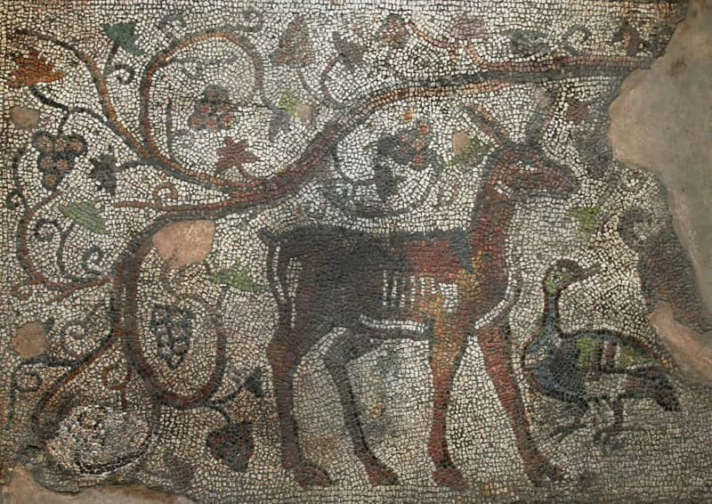 Plovdiv: Valley of the Thracian Kings Guided Day Trip - Stara Zagora’s Augusta Trayana: Roman streets you can almost walk into