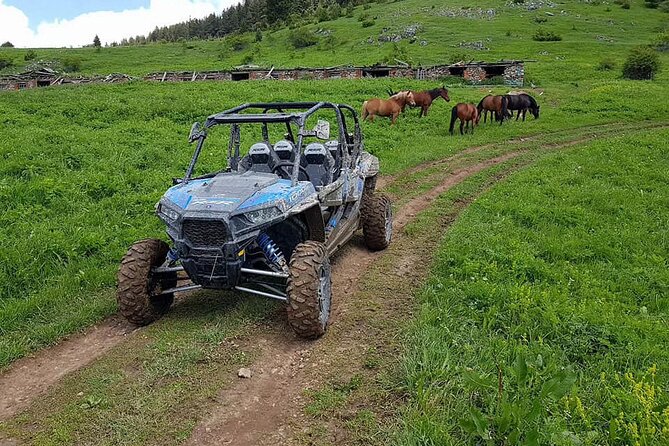 Private 1-Hour Quad or Buggy Safari in Borovets - Stop-by-stop: what each part of the ride is likely doing for you