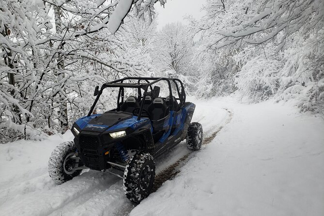 Private 1-Hour Quad or Buggy Safari in Borovets - The one-hour format: what it means for energy, time, and expectations