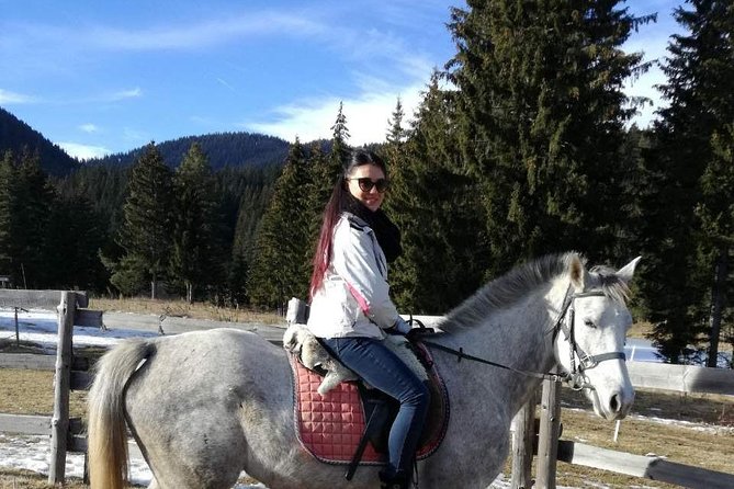 Private 2-Day Horseback Riding in Rhodope Mountains from Plovdiv - How the Instruction and Safety Gear Make or Break a Horse Tour