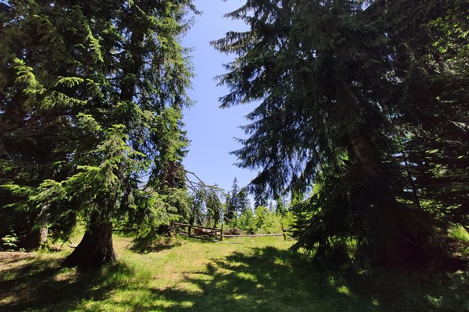 Private 2-Day Horseback Riding in Rhodope Mountains from Plovdiv - Day 2 Riding: Second Day Energy and a Better Sense of the Area