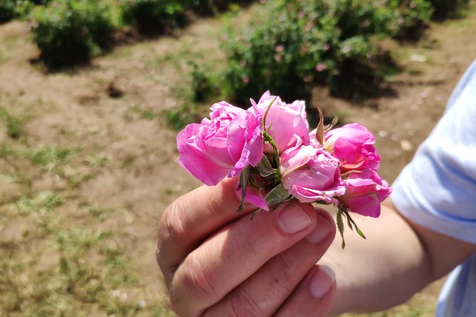 Private Access Rose Festival Kazanlak 05-07.06.2025 - Key Highlights You Will Care About