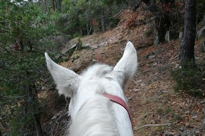 Private Cascades Waterfall Horseback Riding Tour from Smolyan - Getting ready with trained horses and full riding equipment