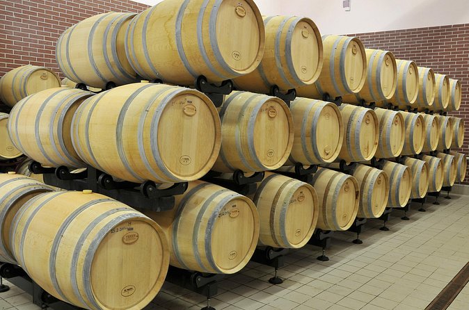 Private Day Trip From Plovdiv To Wine Cellars And Wine Tasting - A stop in Plovdiv with culture and a flexible second tasting