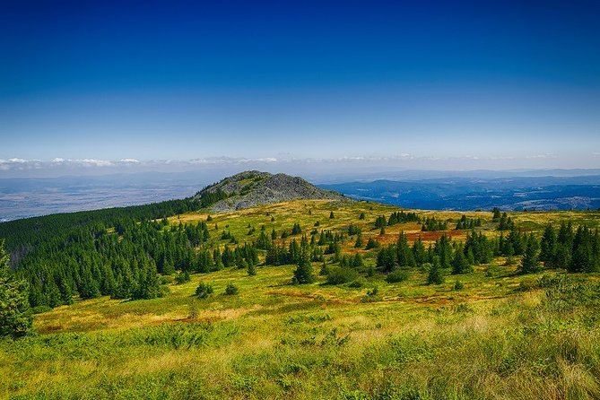 Private Day Trip to the Vitosha Mountain and Pancharevo Lake - Is this the right fit for you?