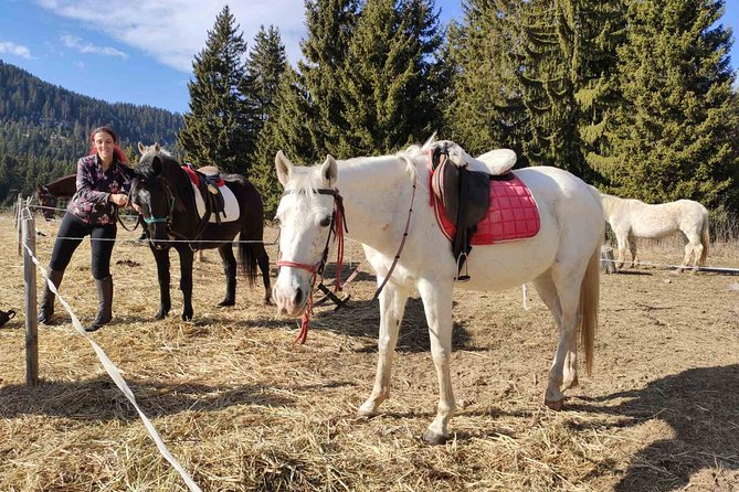 Private Horse Riding in the Balkan from Sofia - Skoka Falls: a nature break that keeps the ride fun