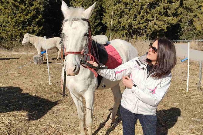 Private Horseback Riding the Rila Range - A few considerations before you go
