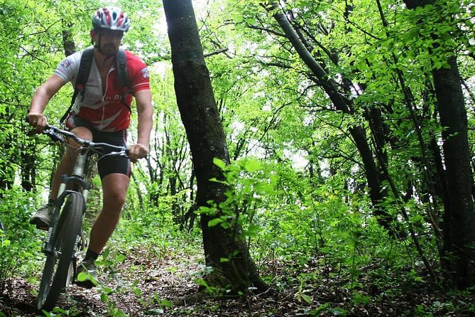 Private Mountain Biking in Vitosha from Sofia - Why Vitosha Mountain Biking Feels Easy to Plan from Sofia