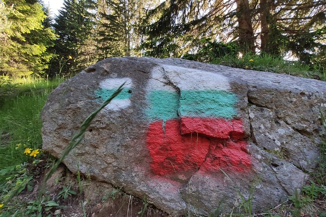 Private Mountain Biking in Vitosha from Sofia - The 4-Hour Flow: From Gear Up to Big Views