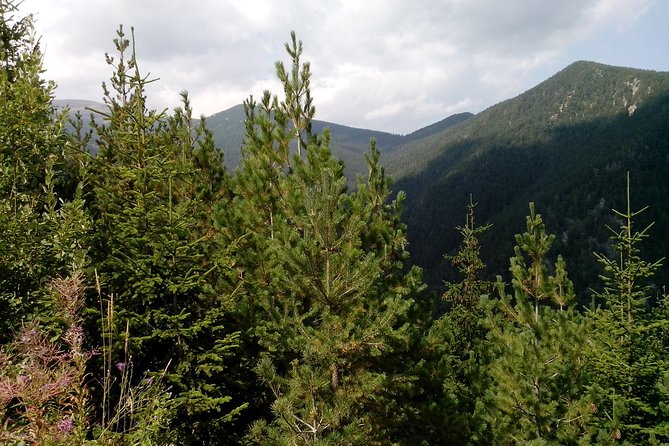 Private Vitosha Mountains Hiking with Black peak & Dragalevtsi Monastery - A half-day mountain mission from Sofia