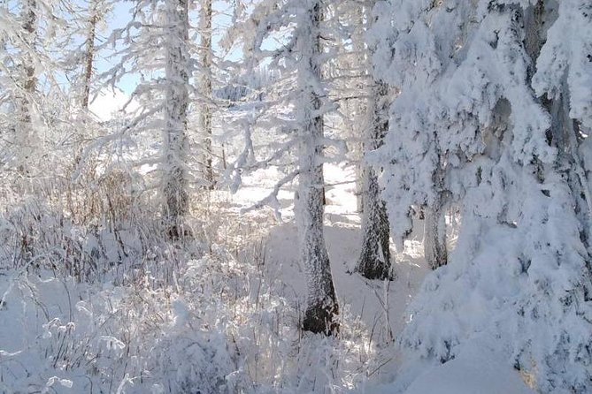 Private Vitosha Mountains Hiking with Black peak & Dragalevtsi Monastery - Sofia and Sofia region stops, why time gets tight