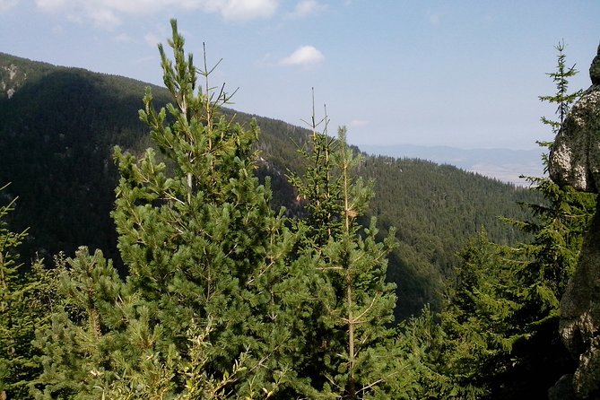 Private Vitosha Mountains Hiking with Black peak & Dragalevtsi Monastery - What to wear and bring for comfort on the mountain