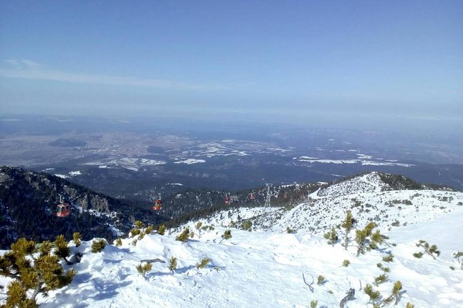 Private Winter Day Trip to the Rila Mountain - The Sheep Yogurt Detail, and Why Simple Food Matters Here