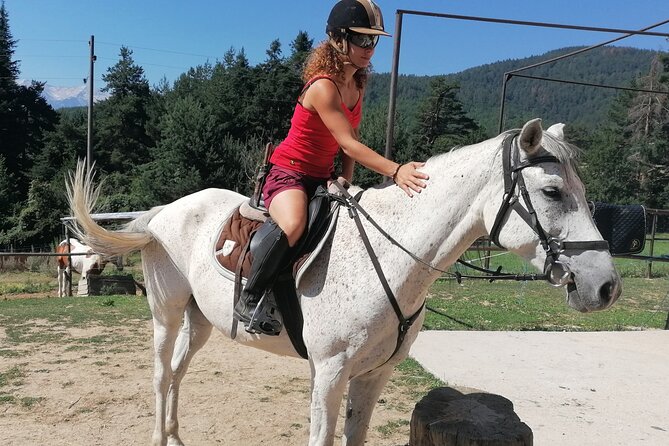 Rila National Park Horse Riding Adventure - Beginner Mode: Calm Horses and Confidence Without Rush