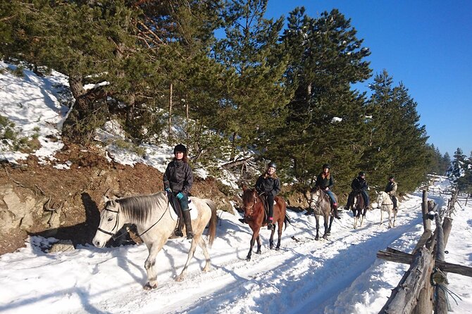 Rila National Park Horse Riding Adventure - The Guide Experience: Attentive Handling and Photo Support