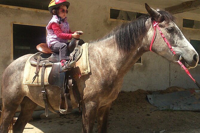Rila National Park Horse Riding Adventure - Horses and Safety Basics That Actually Help