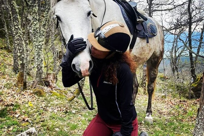 Rila National Park Horse Riding Adventure - The Trail Experience: Pine Forests, Meadows, and River Crossings