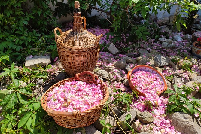 Rose Workshop & Leavening of Authentic Yoghurt - Key things to know