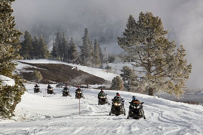 Ski-doo Snow Safari in Borovets - The “James Bond” feel of Borovets on a snowmobile