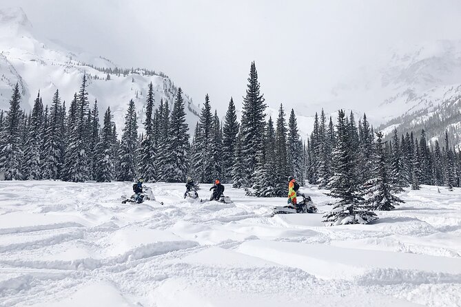 Ski-doo Snow Safari in Borovets - Price and what you truly get for $86.76