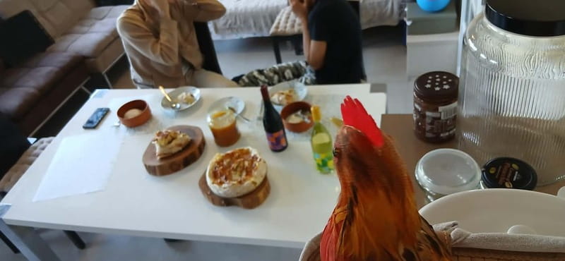 Sofia: Banitsa Pastry Class with a Local with Bulgarian Wine - Quick booking checklist before you go